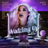 86: HOW TO LEAD A SOUL BUSINESS THAT’S IN ALIGNMENT WITH YOUR QUANTUM SELF