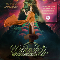 117: ACTIVATING AND AMPLIFYING YOUR ENERGY IN YOUR SOUL BUSINESS