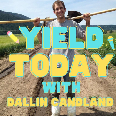 Y.I.E.L.D. Today With Dallin Candland