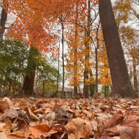 Zengeen+ S2 E92 || صوتوا لشخص يستحق ان اسجل معه حلقة
