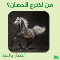 Zengeen Plus Live S2 E53 || من اخترع الحصان؟