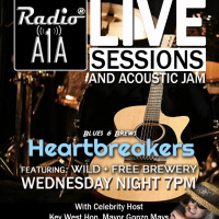 RadioA1A LIVE Sessions Presents The Steve Venini Band.