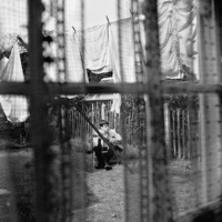 A 15 Años de Chaos And Creation... de Paul McCartney