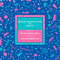 Martin Solveig  GTA vs Kolsch - Intoxicated Grey (STRᐁKE Mash Up)