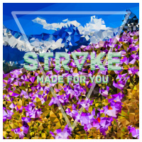 STRᐁKE – May Mix 2019 [Side B]