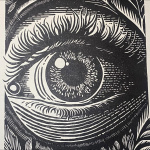 M.S. Groovy House and Techno