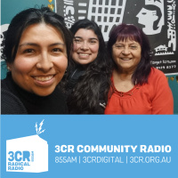 Dia Mundial de las Parteras