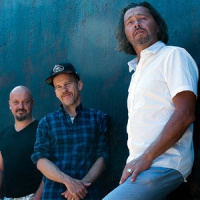 Dejan Terzic: Bring on the Night von Sting