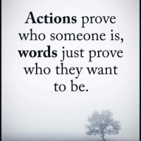 Quotation Ref.Power of provitily