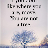 ဒီနေ့အတွက်စကား