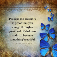 ဒီနေ့အတွက်စကား