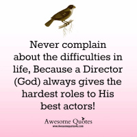 Quotation RefAwesome Quotes