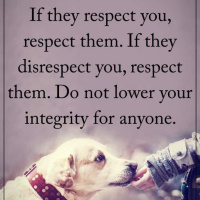 ဒီနေ့အတွက်စကား