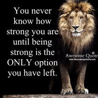 Quotation RefAwsome Quote