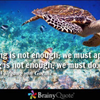 Quotation Ref:BrainyQuote