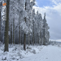 Par Ouï-dire - Les Hautes Fagnes sous la neige, par Stéphane Dupont - 21/12/2021