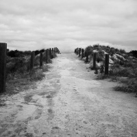 Par Ouï-dire - Bord de mère, de Véronique Olmi, 2e partie - 24/02/2022