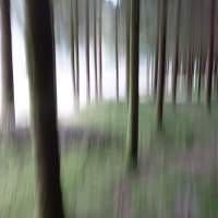 Par Ouï-dire - Feue la forêt, 3e partie - 17/12/2021