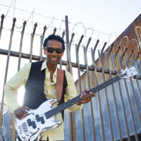 Quick Remember 488-Alphonso Johnson y su bajo de jazz y jazz fusión