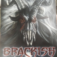 DJ REM Interviews - Brackish Tide