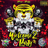 WELCOME TO MY PARTY MIX DJ V21