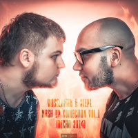 Adieh Flowz vs. Martin Garrix - Zuma Animals (Step1  Wasserman Mash Up)