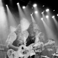 Pull Out Your Bones!