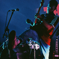 Have You Paid Your Swine Tax?