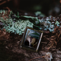 Preservation is what we need...