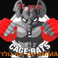 פרק 11 - מגה קארדים ולחימה חובבנית בקליפורניה עם יוסי גולד