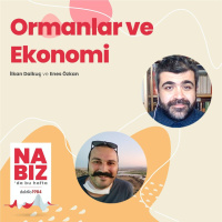 Ormanlar ve Ekonomi | Nabız #58