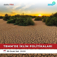 TBMMde İklim Politikaları | Asterisk 2050 Özel Yayın