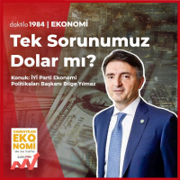 Tek Sorunumuz Dolar mı? | İYİ Parti Ekonomi Politikaları Başkanı Bilge Yılmaz | Varsayılan Ekonomi