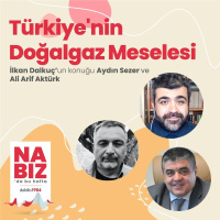 Kış gelirken Türkiyenin Doğalgaz Meselesi | Konuk: Arif Aktürk  Aydın Sezer | Nabız #67