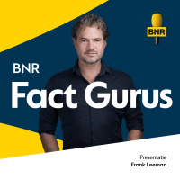 Zijn er miljoenen omgezaagde kerstbomen in huiskamers in Nederland?