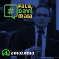 Precisamos falar sobre a situação da Amazônia