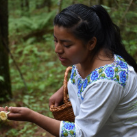 Lo nuevo de la FAO - 9 de agosto de 2019