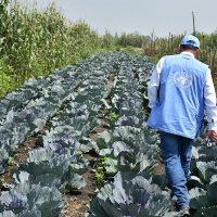 Lo nuevo de la FAO - 14 de junio de 2019