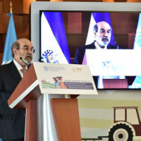 Lo nuevo de la FAO - 5 de julio de 2019