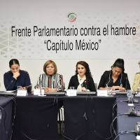 Lo nuevo de la FAO - 26 de julio de 2019