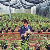 Lo nuevo de la FAO - 2 de agosto de 2019