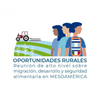 Lo nuevo de la FAO - 28 de junio de 2019