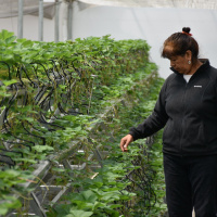 Lo nuevo de la FAO - 16 de agosto de 2019