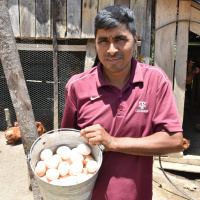 Lo nuevo de la FAO - 23 de agosto de 2019