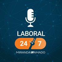 Capítulo 21 - Reflexiones sobre la nueva Ley de Teletrabajo