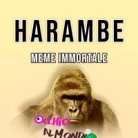 La storia di Harambe: internet che fa internet