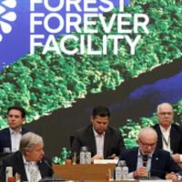 Painel JB 2ª Edição 06/11/2025