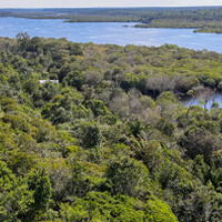 Painel JB 1ª Edição 24/10/2025