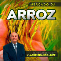 Preços do arroz vão reagir? setor aguarda apoio do governo para destravar mercado