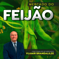 Feijão terá menor oferta que o esperado e preços devem subir nas próximas semanas.